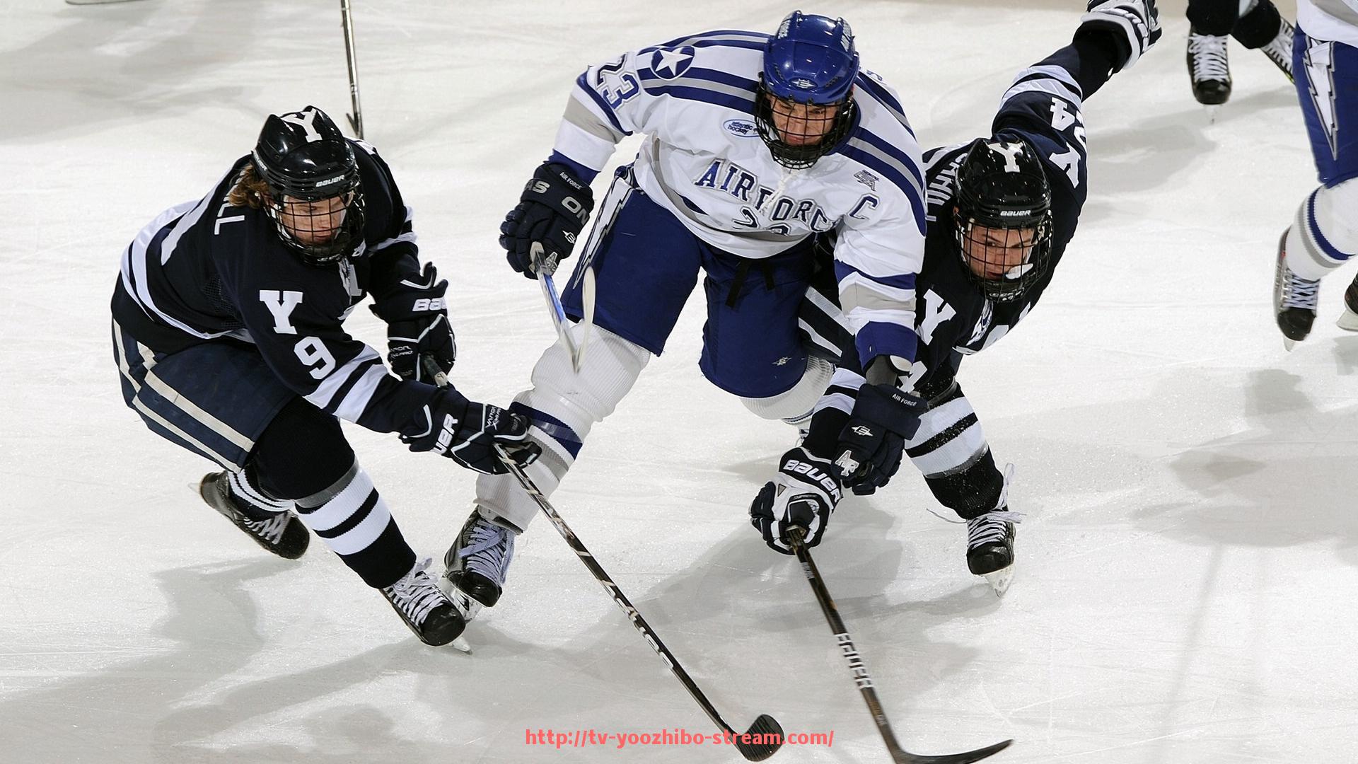 优直播-个人锻炼肌肉所需健身器材推荐及使用指导